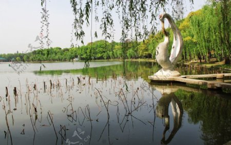武汉东湖风光图片