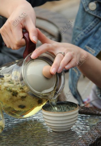 茶文化沏茶图片