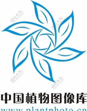 中国植物图像库图片