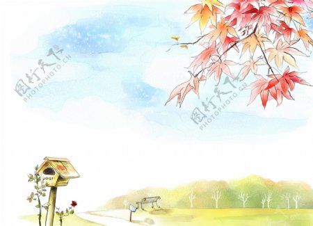 枫叶风景插画图片