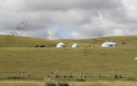 内蒙古赤峰大草原锡盟图片