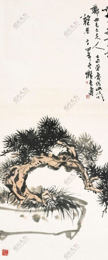 赤松小寿一千年图片