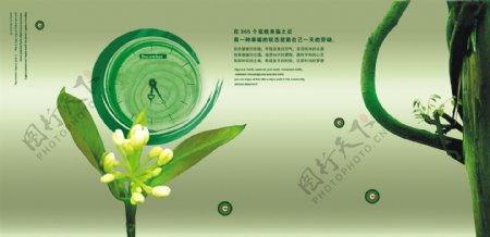 清新绿色广告设计图片
