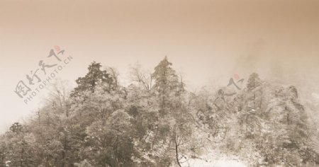 西岭雪山图片