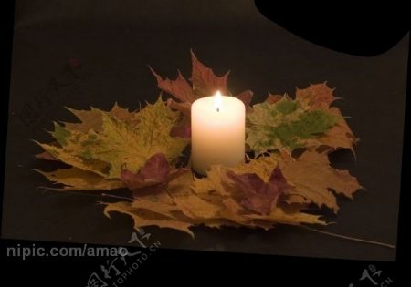 白色蜡烛和枫叶图片
