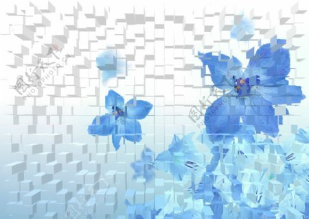 立体方块矢量兰花蓝色花卉图片