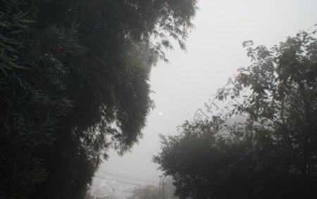 雾天图片