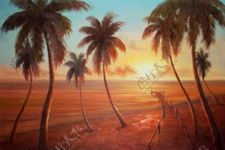 椰林之晨图片