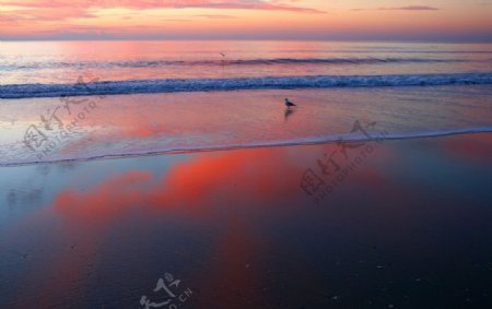 海滩霞光图片
