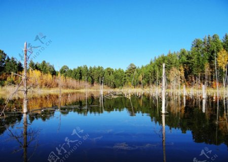 秋季诺干湖图片