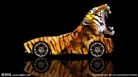 老虎豹纹汽车图片