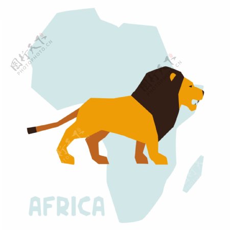 非洲雄狮图片