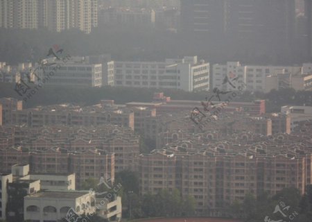 深圳市图片
