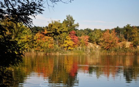 秋天湖水图片