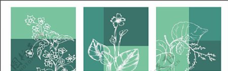 2010无框装饰画线描植物图片