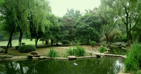 湘潭菊花塘公园的自然风景图片