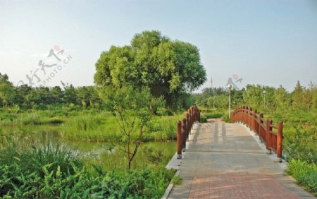 北京奥体公园小桥流水图片