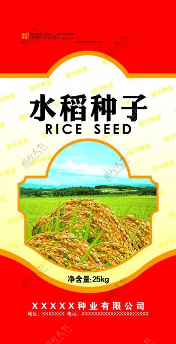 水稻种图片