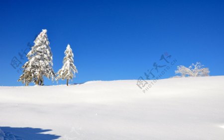 雪域图片