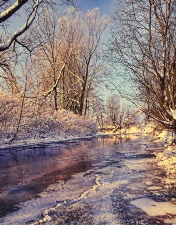 冬季河岸图片