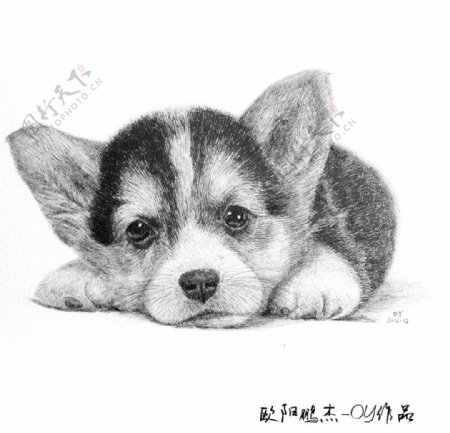 钢笔绘画小狗图片