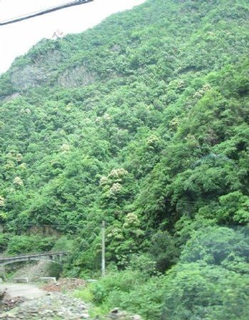 安吉竹山旅游风景图非高清图片