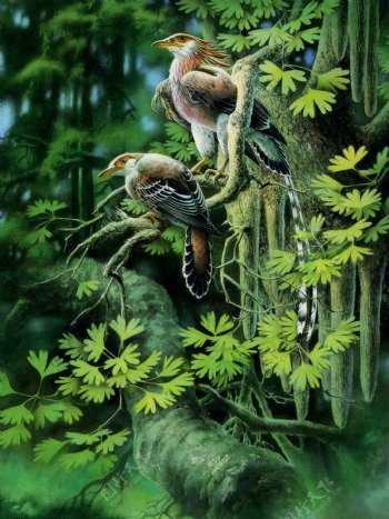 侏罗纪之夏圣贤孔子鸟图片