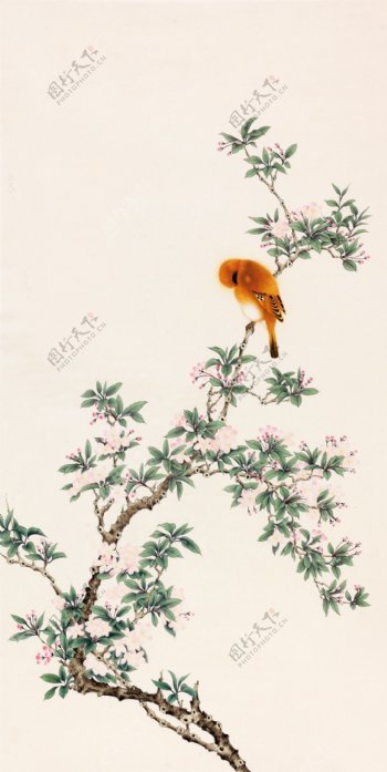 海棠黄鹂图图片