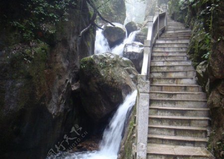 南岭国家森林公园楼梯图片