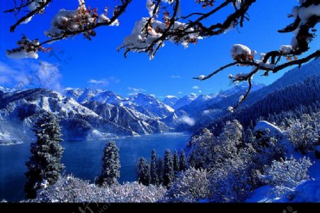 新疆雪景图片