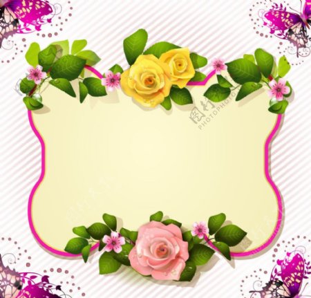 玫瑰花绿叶边框蝴蝶图片
