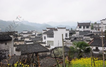 江西婺源村落图片