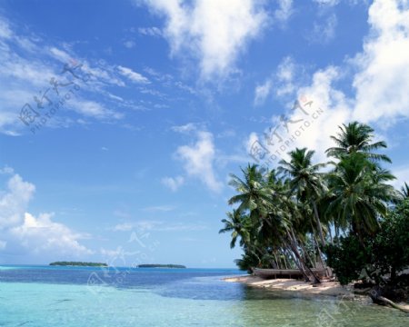 椰树蓝天大海海岸美景岛屿风情图片