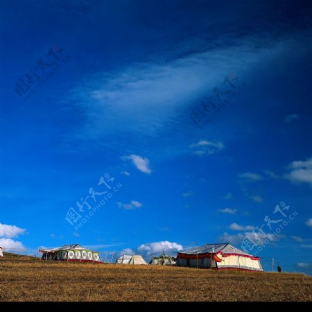 蔚蓝天空下的蒙古包图片