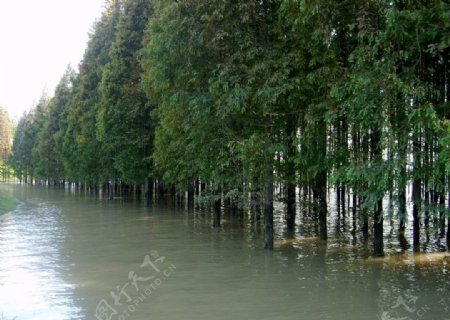 汉江堤防图片