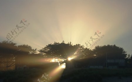 自然阳光清晨图片