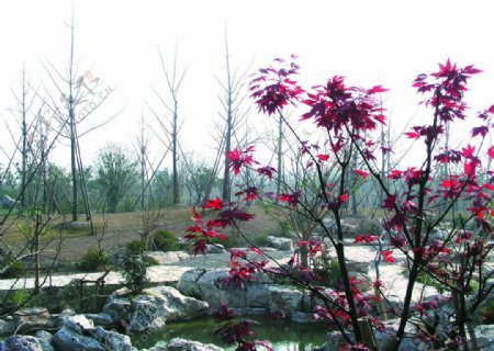 炮台湾公园里的景色图片