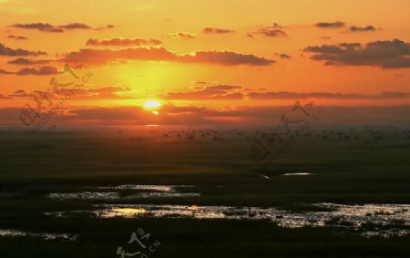 崇明东滩湿地日出图片