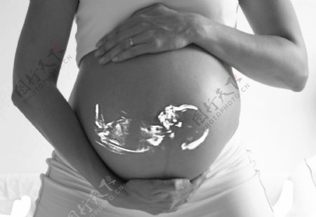 孕妇肚子里的胎儿图片