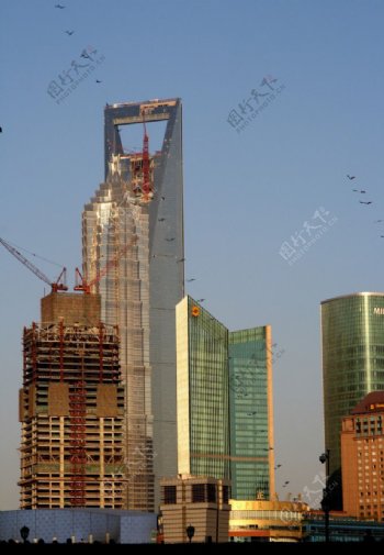 上海浦东陆家嘴的摩天大楼图片