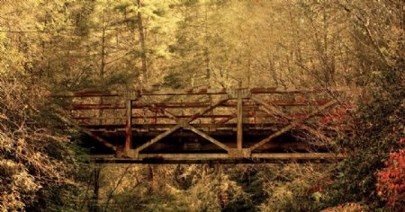 山林中的小桥图片