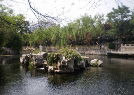 济南护城河泉水图片