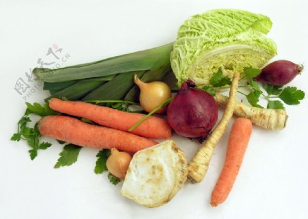 胡萝卜大白菜等蔬菜图片