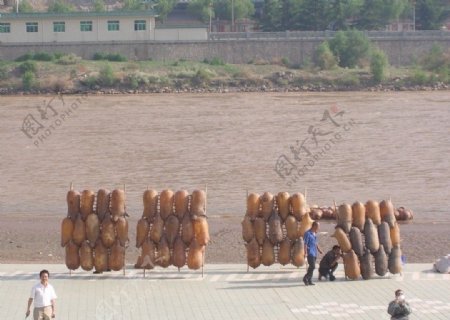 黄河边的羊皮筏子图片