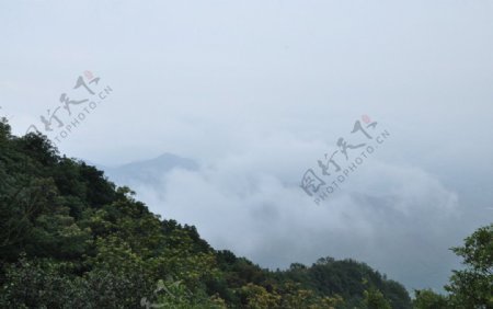 深圳梧桐山图片