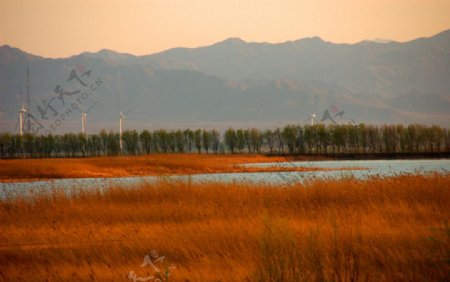 野鸭湖的风车图片