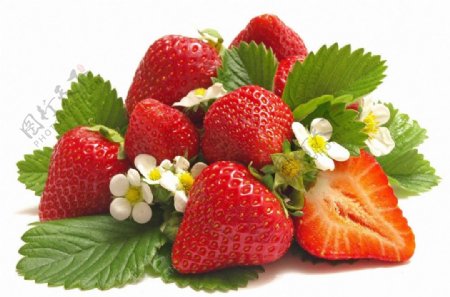 高清草莓特写图片