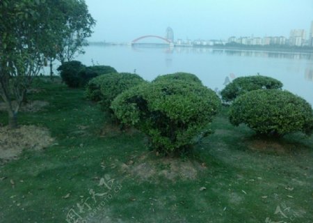 鄂州洋澜湖小游园风景图片