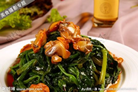 蚝油绿牡蛎图片