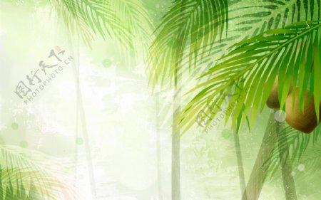 椰子树棕榈叶花朵梦幻可爱背景图片